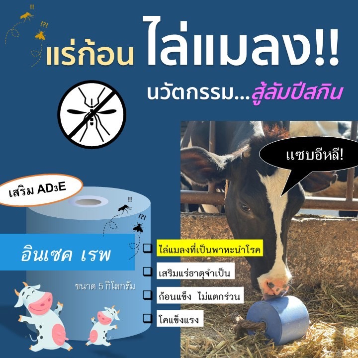 EVS แร่ก้อนไล่แมลง แร่ก้อนวัวเลีย