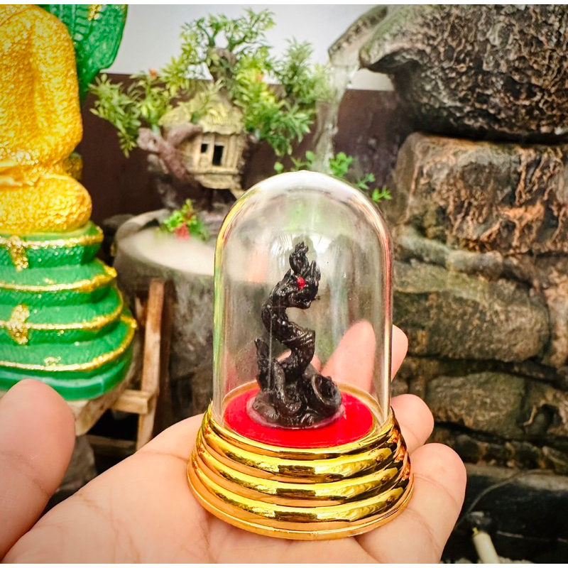 ครอบแก้วองค์พญานาค วัดศิริสุทโธคำชะโนด ตั้งหน้ารถ หิ้งพระ และอื่นๆ