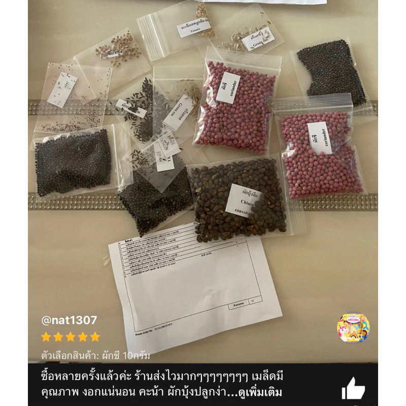 ค่าส่งถูก📍เมล็ดพันธุ์ผักสวนครัว🌱 ซื้อ 10 เเถม2 [ได้ไป12ชิ้น]🔥เลือกของเเถมได้ thumbnail 9
