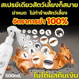 ฆ่าหมัดอย่างรวดเร็ว สเปรย์กําจัดเห็บหมัด ส่วนผสมจากพืช ยาฆ่าเห็บหมัด 500ML ยาฆ่าเหา ยาฆ่าหมัด ยาเห็บหมัด ยากําจัดเห็บ