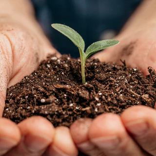 ดินเพาะกล้า เพาะเมล็ด ชำกิ่ง ผสมสำเร็จสูตรพิเศษ (Plant seeding Full Root in 10 day👍)