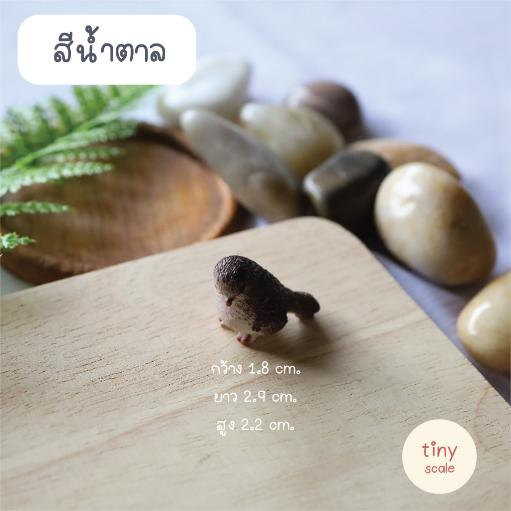 โมเดลนกจิ๋ว สำหรับทำโมเดล ฉาก Diorama จัดสวนถาด สวนโหลแก้ว บ้านตุ๊กตา Miniature