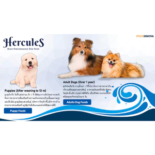 (1แถม1 ขนาด 500g เฉพาะ 15-17 Aug 26) Hercules Dry Dog Food - เฮอร์คิวลิส อาหารสุนัขแบบแห้ง (0.5-1.5kg)