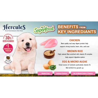 (1แถม1 ขนาด 500g เฉพาะ 15-17 Aug 26) Hercules Dry Dog Food - เฮอร์คิวลิส อาหารสุนัขแบบแห้ง (0.5-1.5kg)