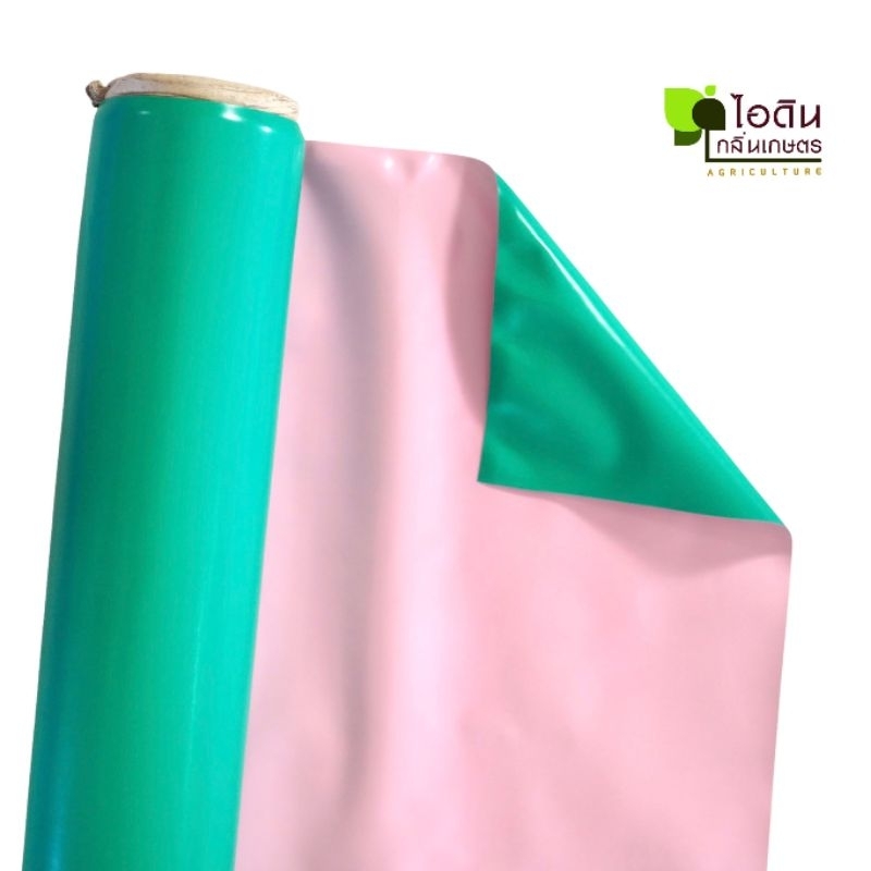 รูปภาพ 3