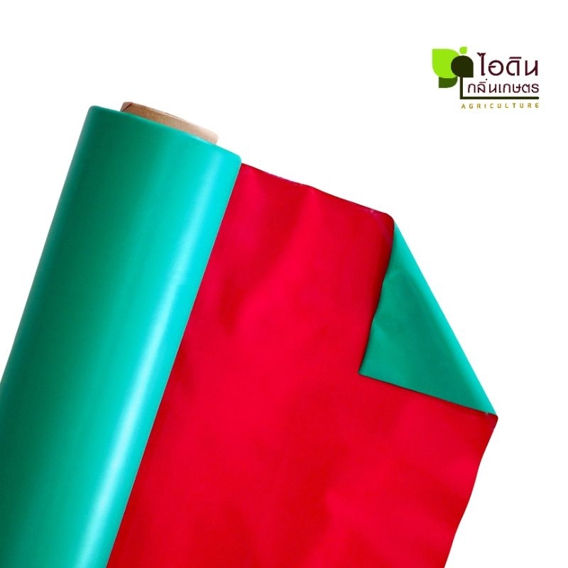 รูปภาพ 4