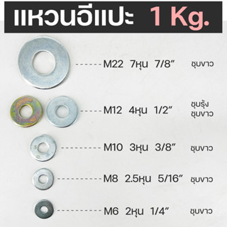 แหวนอีแปะ แหวนรองน็อต ชุบขาว/ชุบรุ้ง M6 M8 M10 M12 M22 (ขายเป็นกิโล)