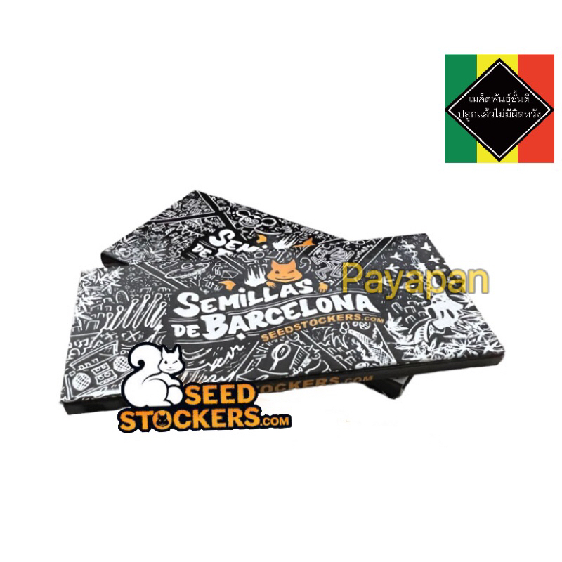 กระดาษม้วนกัญชา ค่าย Seed Stockers