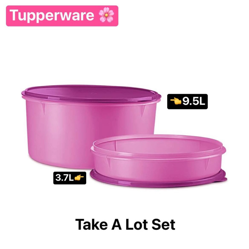 ภาชนะใส่อาหาร Tupperware รุ่น B2B Snack Stor ขนาด 2.9L สุ่มสี