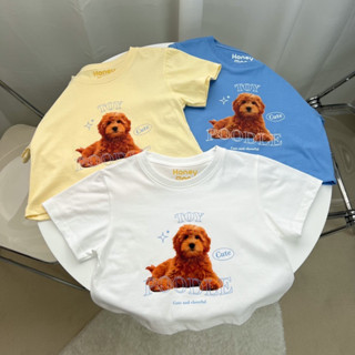 Toy🐶🥣. เสื้อครอปหมาแมว เสื้อลายหมาแมว Honey Mood 🍯เสื้อครอปหมาแมว  เสื้อยืดทรง baby crop cotton 100% อก 32-36 ยาว 16