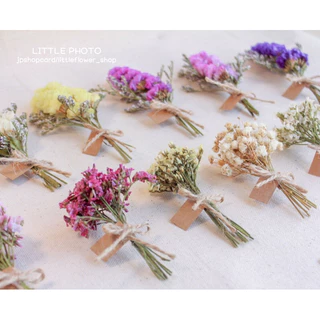 JPCraft🌻-พร้อมส่ง-ช่อดอกไม้แห้ง ไซส์มินิ ช่อดอกไม้จิ๋ว พร้อมป้ายเเทกน่ารักๆ(ขั้นต่ำ3ช่อ)(FM1)