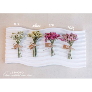 JPCraft🌻-พร้อมส่ง-ช่อดอกไม้แห้ง ไซส์มินิ ช่อดอกไม้จิ๋ว พร้อมป้ายเเทกน่ารักๆ(ขั้นต่ำ3ช่อ)(FM1)