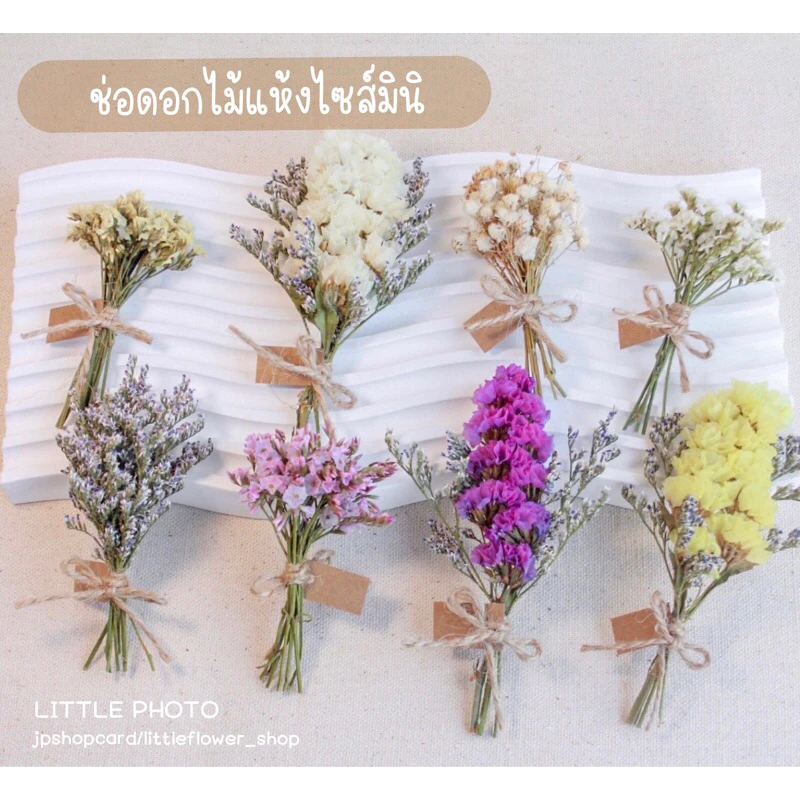 JPCraft🌻-พร้อมส่ง-ช่อดอกไม้แห้ง ไซส์มินิ ช่อดอกไม้จิ๋ว พร้อมป้ายเเทกน่ารักๆ(ขั้นต่ำ3ช่อ)(FM1)