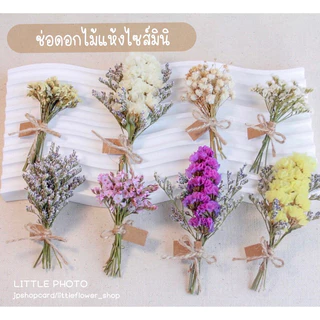 JPCraft🌻-พร้อมส่ง-ช่อดอกไม้แห้ง ไซส์มินิ ช่อดอกไม้จิ๋ว พร้อมป้ายเเทกน่ารักๆ(ขั้นต่ำ3ช่อ)(FM1)