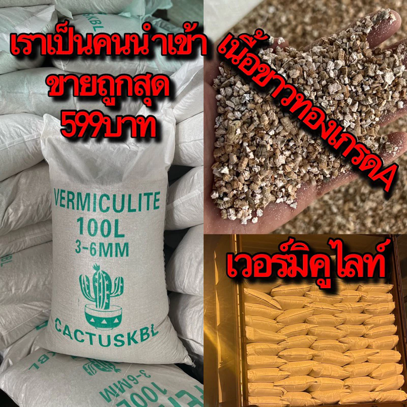เวอร์มิคูไลท์ราคาถูก vermiculite เวอร์มิคูไลท์100ลิตร เวอร์มิคูไลท์ราคาส่ง