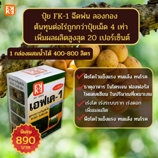 ลองกอง โตไวใบเขียว ผลใหญ่ น้ำหนักดี ฉีดพ่น ปุ๋ย FK-1 ต้นทุนต่อไร่ถูกกว่าปุ๋ยเม็ด 4 เท่า เพิ่มผลผลิตสูงสุด 20 เปอร์เซ็นต์