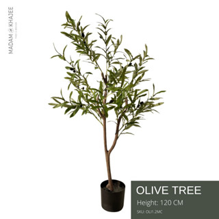 Olive tree ต้นมะกอก 120 CM ต้นไม้ปลอมเกรดพรีเมี่ยม มาดามขจี  Premium Artificial Plant