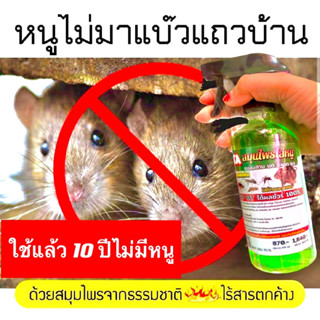 ฉีดไล่หนู แมงสาบ จิ้งจก ตุ๊กแก มด นกพิราบ สูตรได้ผลชัดเจน ขนาด 500ml