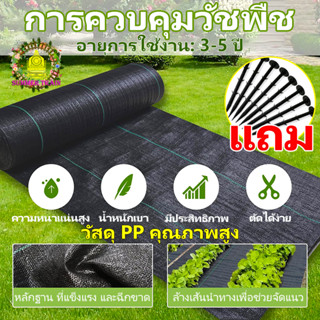 ซื้อ1 แถม1 พลาสติกคลุมดิน ผ้าคลุมดิน ฆ่าหญ้า ผ้าคลุมหญ้า คลุมวัชพืช 2×100 3×50 กําจัดหญ้า พลาสติกคลุมดิน พลาสติกคลุมหญ้า