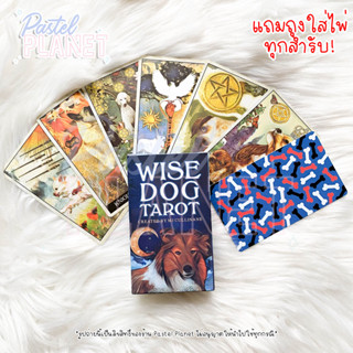 [พร้อมส่งในไทย🇹🇭] Wise Dog Tarot ไพ่ยิปซี ไพ่ทาโรต์