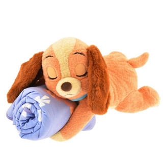 🇯🇵 Lady Blanket size 100*70cm 💥