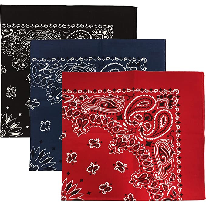 ผ้าพันคอผลิตในอเมริกา USA Made Military Army Trainmen Paisley 22 / Hav A Hank Paisley Bandana Handke