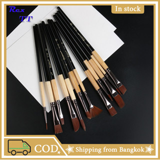 Rex TT  12 pcs Multi-shapes Wooden Handles Nylon Hair Aluminum Ferrules Artists Brushes set PVC Bag