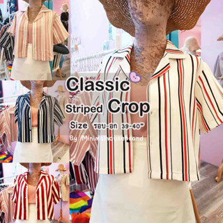 Minimahousebrand : Classic Striped เสื้อปกฮาวาย เสื้อครอป เสื้อลายริ้ว เสื้อเอวลอย สไตล์เกาหลี สไตล์มินิมอลสำหรับผู้หญิง