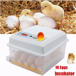 พร้อมส่ง ตู้ฟักไข่ ตู้ฟักไข่ถูกๆ 16ฟอง ที่ฟักไข่ ฟักไข่ไก่ เป็ด ห่าน นก กินไฟน้อย ควบคุมอุณภูมิอัตโนมัติ กลับไข่เอง