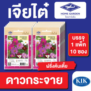 เมล็ดพันธุ์ ดอกไม้ เจียไต๋ ดาวกระจายฝรั่งต้นเตี้ย บรรจุแพ็คล่ะ 10 ซอง ราคา 160 บาท