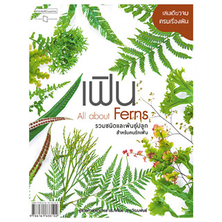 c111 เฟิน ALL ABOUT FERNS รวมชนิดและพันธุ์ปลูกสำหรับคนรักเฟิน 9786161838102