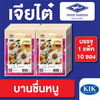 เมล็ดพันธุ์ ดอกไม้ เจียไต๋ บานชื่นหนู บรรจุแพ็คล่ะ 10 ซอง ราคา 160 บาท