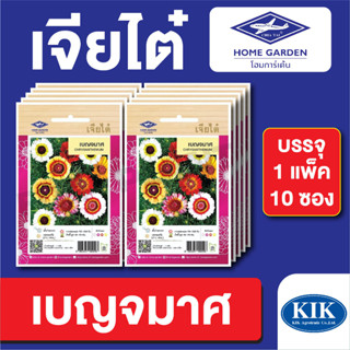 เมล็ดพันธุ์ ดอกไม้ เจียไต๋ เบญจมาศ บรรจุแพ็คล่ะ 10 ซอง ราคา 160 บาท