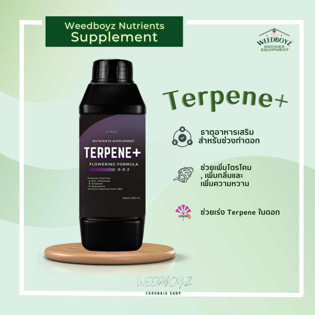 ปุ๋ยเสริมช่วงทำดอก เทอร์ปีนพลัส Terpene plus ช่วยเพิ่มไตรโคม เพิ่มกลิ่น เพิ่มความหวาน ช่วยเร่งTerpeneดอกกัญชา