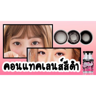 สีดำ Wink lens(Dia 14.5)