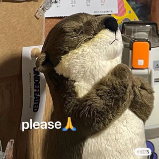 ตุ๊กตาตัวนากยืนพนมมือ please ขอความช่วยเหลือ🦦🦦