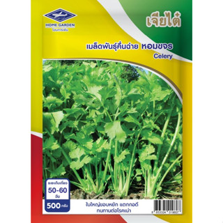 เมล็ดพันธุ์ เจียไต๋โฮมการ์เด้น คื่นฉ่าย หอมขจร BigPack ถุง 500 กรัม