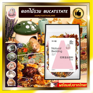 [Hamsterth] ดอกไม้ รวม Bucatstate ดอกไม้โรยกรง รองกรง สัตว์เลี้ยง รองกรงแฮมสเตอร์