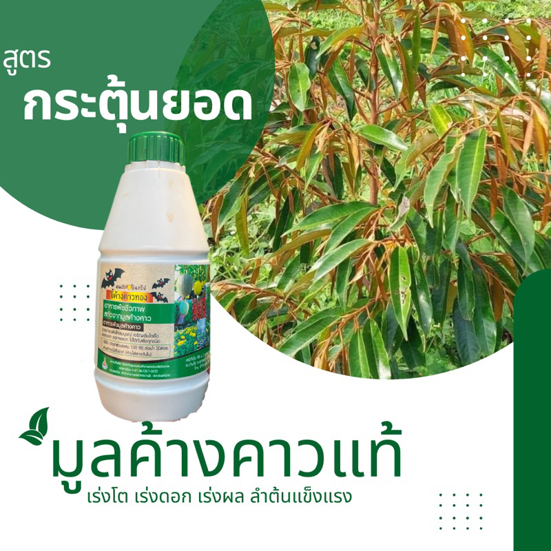 ขี้ค้างคาวทอง อาหารพืชทางใบ บำรุงยอดพุ่ง กระชากใบ ใบเขียวปั๊ด ส่งฟรี