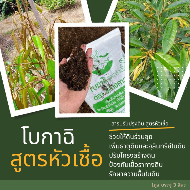 โบกาฉิ สูตรหัวเชื้อ สารปรับปรุงดิน มูลค้างคาวแท้ ช่วยให้ดินร่วนซุย ปรับโครงสร้างดิน รากหาอาหารได้ดีขึ้น