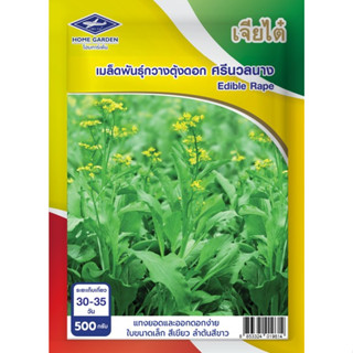 เมล็ดพันธุ์ เจียไต๋โฮมการ์เด้น กวางตุ้งดอก ศรีนวลนาง BigPack ถุง 500 กรัม