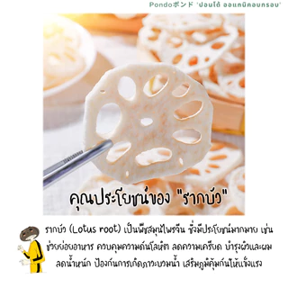รากบัวอบกรอบ "PONDOออแกนิคอบกรอบ" ไม่ใช้น้ำมัน กรอบอร่อย ไม่หืน ไม่อ้วน ผักอบกรอบ ผลไม้อบกรอบ พร้อมทาน
