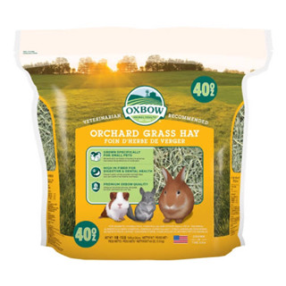 Oxbow Orchard Grass Hay (40oz) เป็นหญ้าที่มีความอ่อนนุ่มและมีรสหวานกว่าหญ้าชนิดอื่น มีไฟเบอร์สูง ช่วยลดโรคทางเดินอาหาร