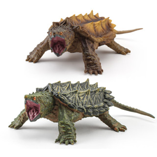 โมเดลเต่า Alligator snapping turtle โมเดลสัตว์ดึกดำบรรพ์ Model Freshwater turtle primitive animal Figures Mini Miniature