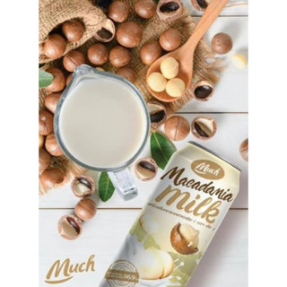 Much macadamia milk 180ml. นมแมคคาเดเมียแบบกระป๋อง 120แคล พร้อมดื่ม