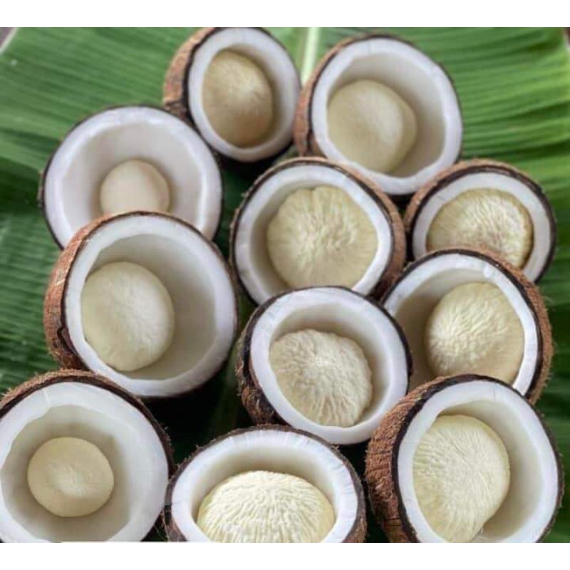 จาวมะพร้าว พร้อมทาน อาหารเพื่อสุขภาพ Plantbased food