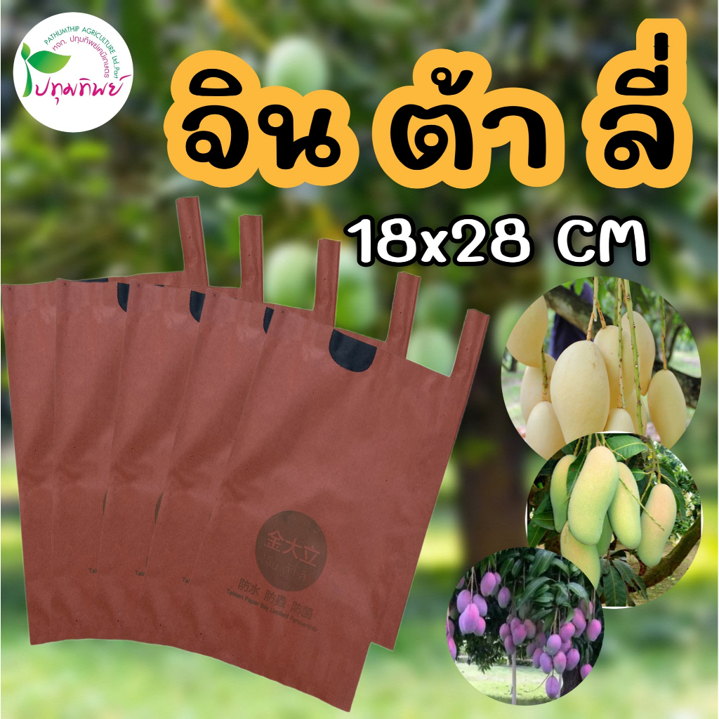 ถุงห่อผลไม้คาร์บอน ขนาด 18x28 CM จิน ต้า ลี่ แพ็ค 100 ใบ ถุงห่อผิวมะม่วง ผิวสวย สีเหลืองสวย ป้องกันโรคและแมลง