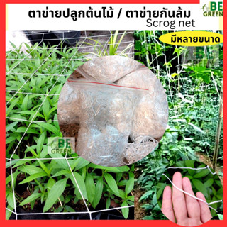 ตาข่ายปลูกต้นไม้ Scrog Net กันล้ม ไนล่อน ตา15cm.  ปลูกไม้เลื้อย   ปลูกต้นไม้  ปลูกพืช ค้าง ปลูกผัก ปลูกสโคลก