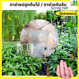 Scrog net ตาข่าย ตาข่ายปลูกพืช  ปลูกต้นไม้  ตาข่ายพืชสมุนไพร กันล้ม ค้างผัก ค้างแตง ตาข่ายกัญ