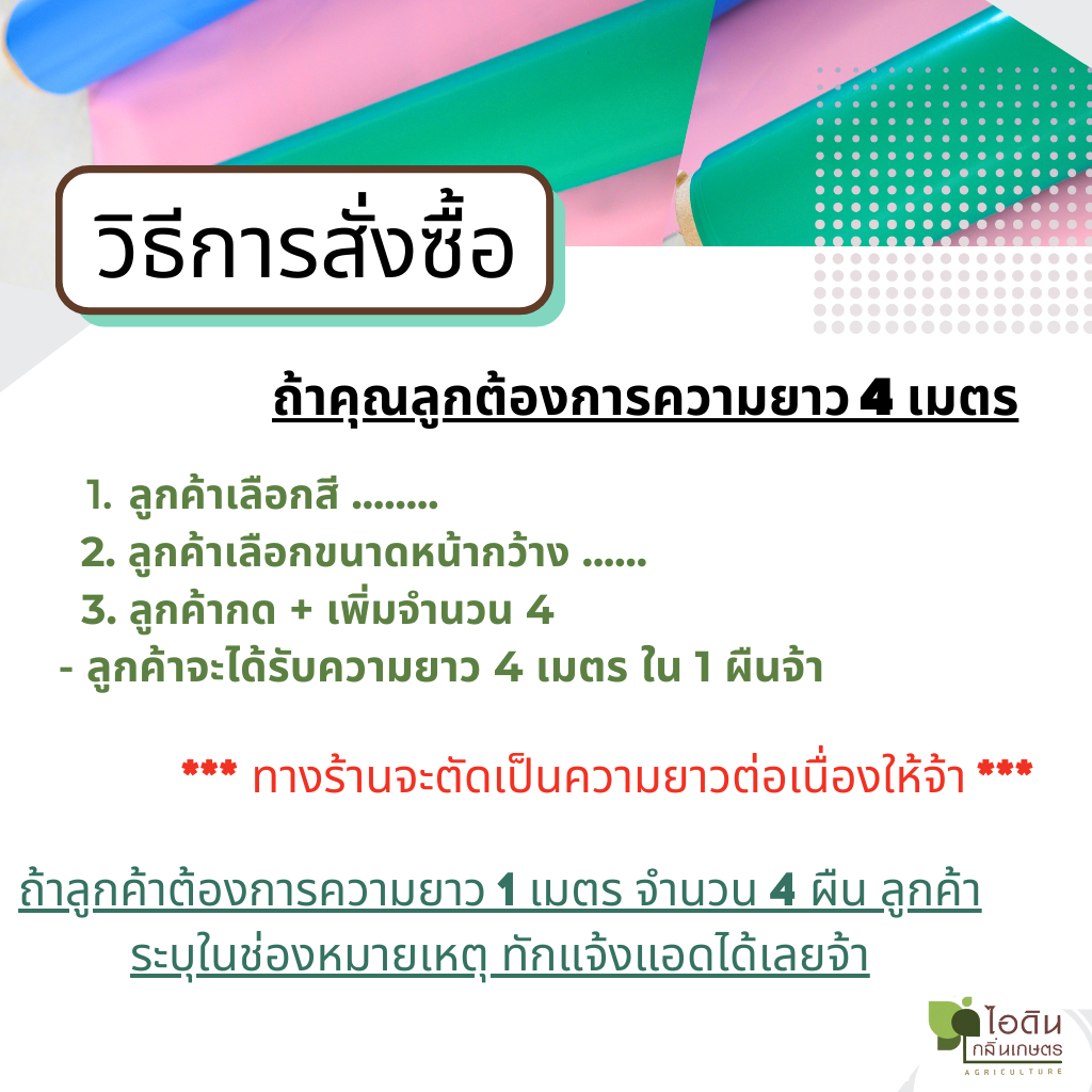 รูปภาพ 5